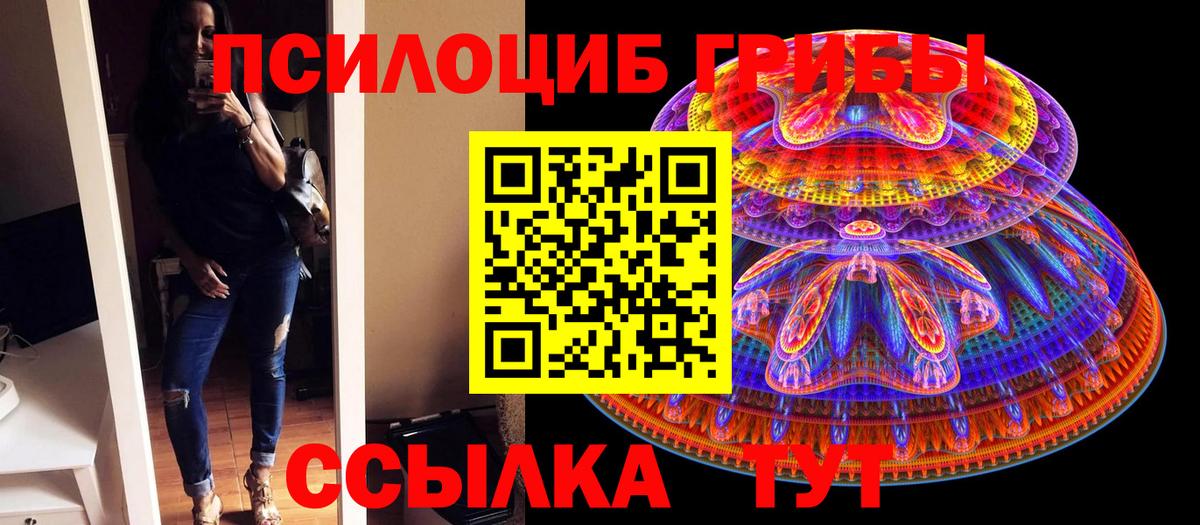 Галлюциногенные грибы прущие грибы Кызыл