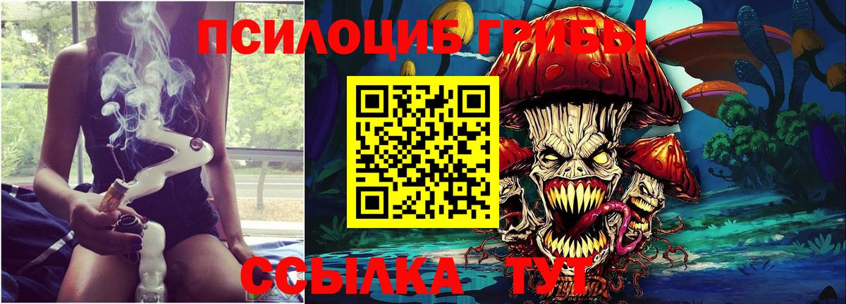 Псилоцибиновые грибы Magic Shrooms  Вход с VPN  Кызыл  Псилоцибиновые грибы мицелий 